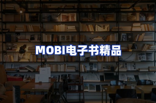 外文电子书产品